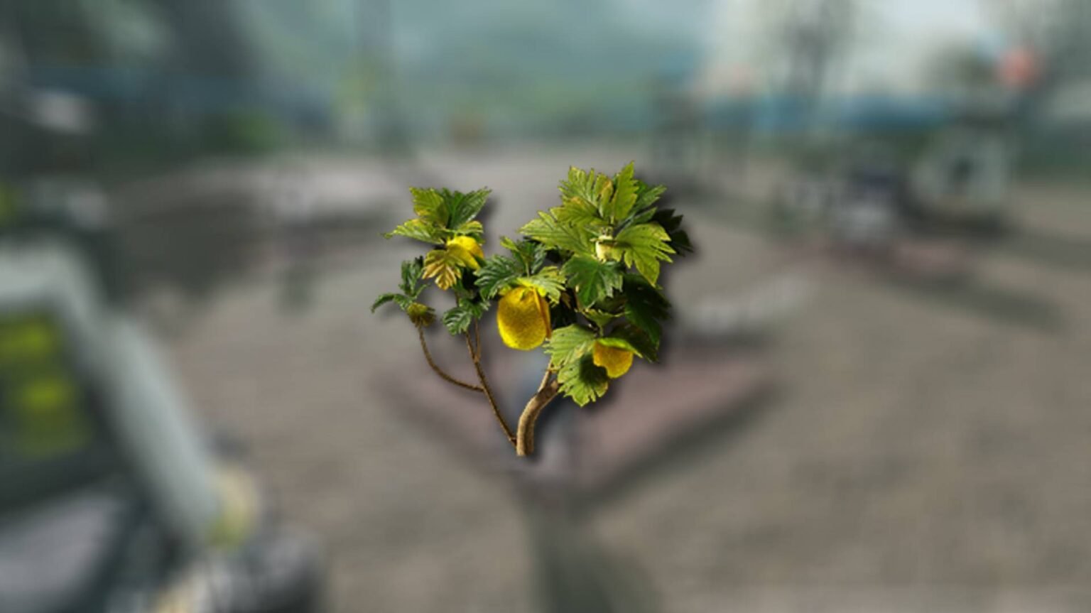 Arknights Endfield - How To Get Citrome