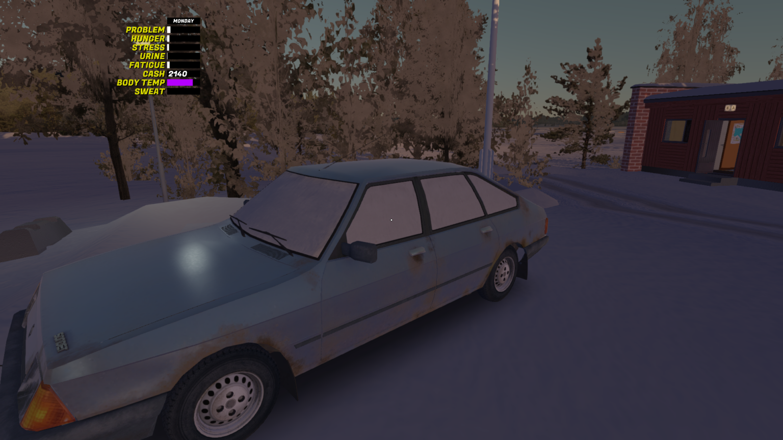 Sorbet in My Winter Car