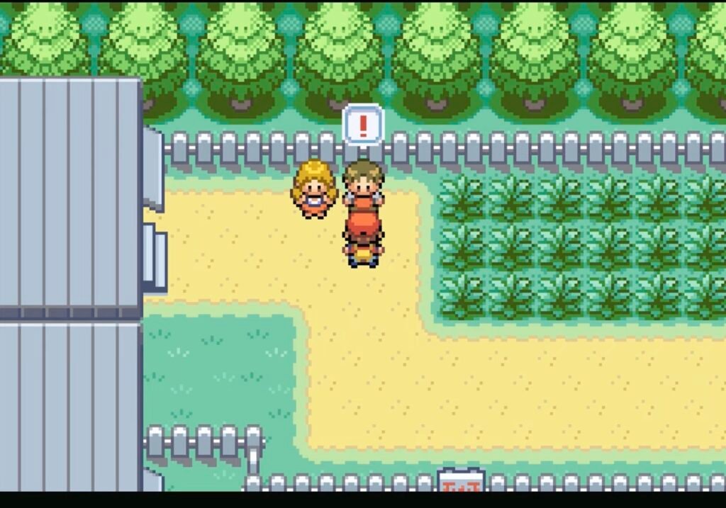 Starting the Double Battle.