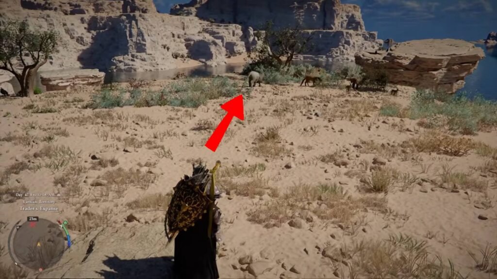 Crimson Desert - How To Get White Lion