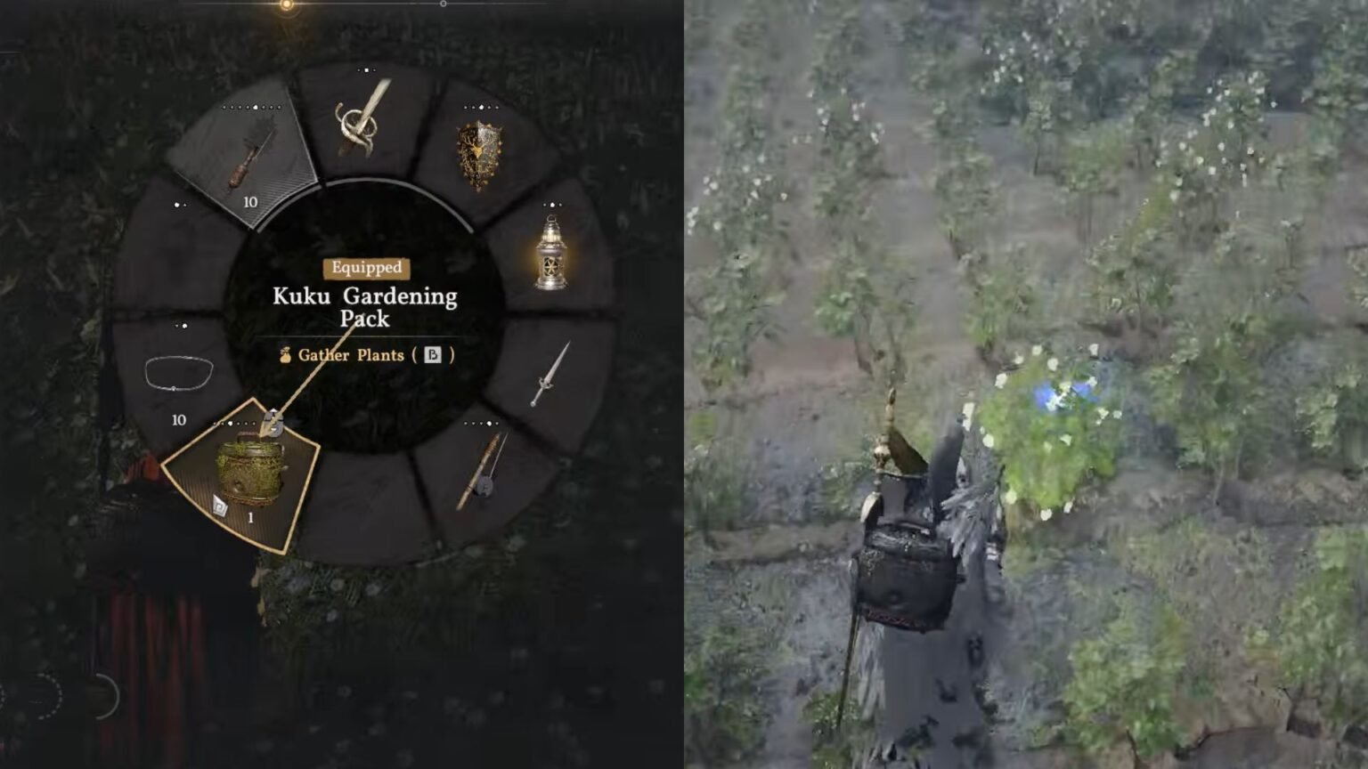 crimson desert kuku gardening pack